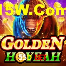 Premium Interface 55D Bet