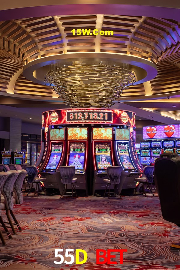 Bonus Features 55D Bet